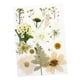 thumbnail image 3 of 1 Bolsa De Flores Prensadas Secas, Hojas Secas De Pétalos Reales Para Manualidades, Calcomanía Blanca, 3 of 5
