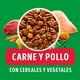 thumbnail image 2 of Alimento Seco Perro Adulto Raza Mediana/Grande Carne y Pollo Bolsa, 2 of 6