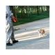 thumbnail image 2 of Ferplast - Correa Retractil en cinta Rosado, 2 of 2