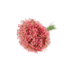 thumbnail image 1 of 90 Flores Gypsophila para Arreglos Artificiales Flor Adornar, 1 of 3