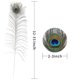 thumbnail image 3 of Plumas de pavo real, 25 unidades, 80-90 cm, para decoración de jarrones, 3 of 7