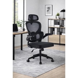 Cosas Casa - Silla Ergonomica De Oficina Para Escritorio Boise Negra
