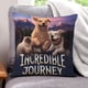 thumbnail image 1 of El Increíble Viaje Fundas de almohada de terciopelo con tema, regalos de funda de almohada, decoración para el hogar, cojín de lanzar, regalo de cumpleaños para fans y parejas.61*61cm., 1 of 6