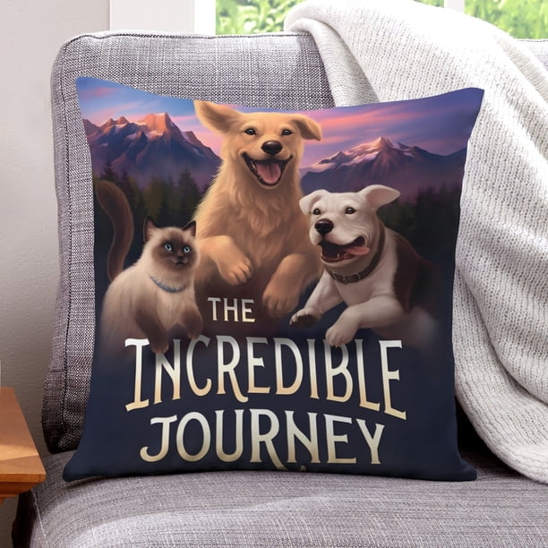 El Increíble Viaje Fundas de almohada de terciopelo con tema, regalos de funda de almohada, decoración para el hogar, cojín de lanzar, regalo de cumpleaños para fans y parejas.61*61cm.