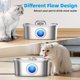 thumbnail image 2 of Fuente de Agua Casfuy 3,2 L Acero Inoxidable para Perro y Gato, 2 of 7