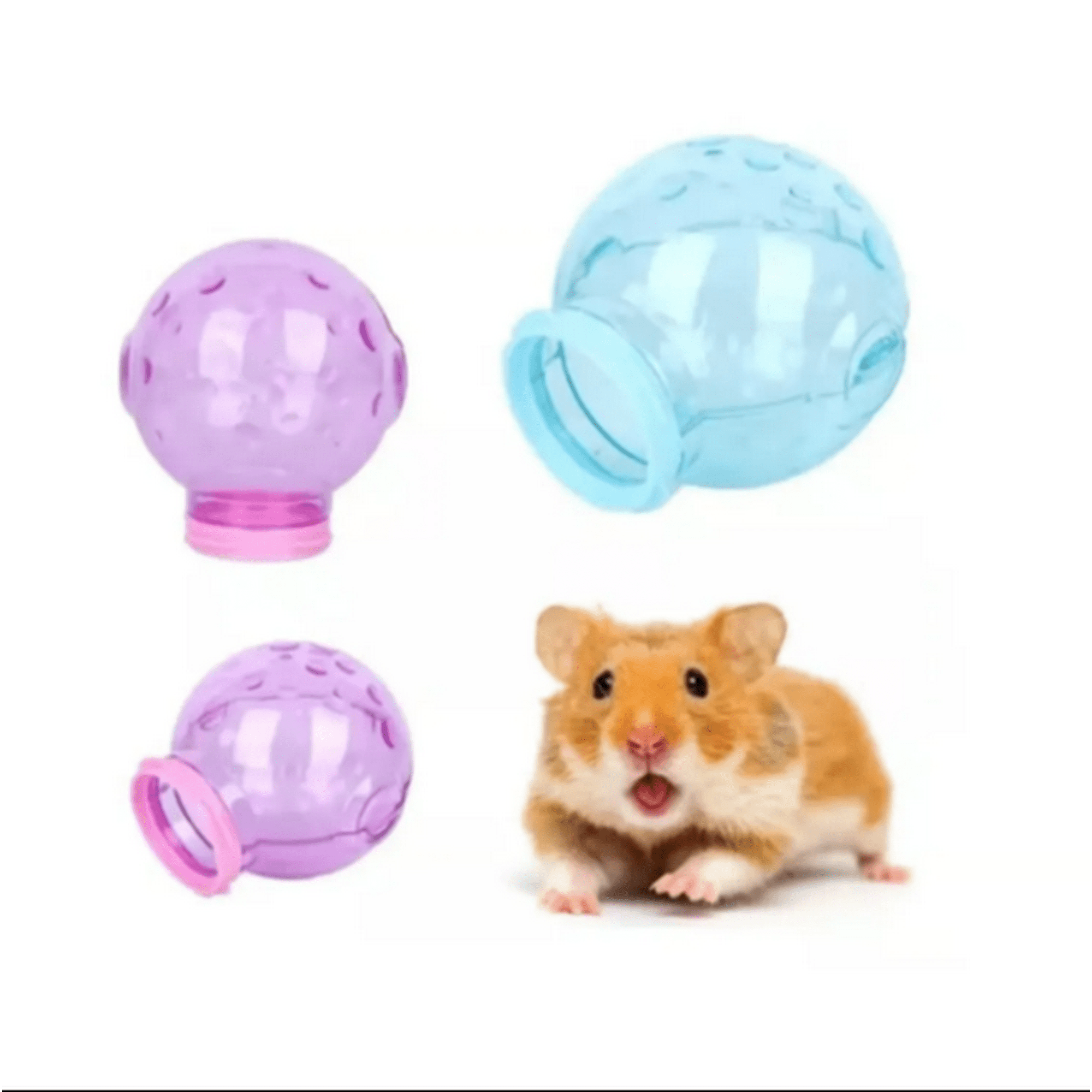 Genérico - Baño Ducha Para Hamster Conexion Externa Para Jaulas