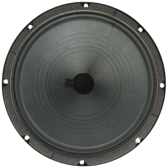 Altavoz Jensen Vintage P10R4 de 10 pulgadas, Alnico, 4 ohmios, 25 W