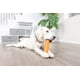thumbnail image 5 of Juguete Para Perros Super Crunch Fetch Stick Tpr Para Perros De 9 2 Pulgadas, 5 of 7