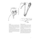 thumbnail image 4 of Anatomía Artística de Editorial Gustavo Gili, 4 of 6