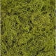 thumbnail image 1 of Musgo español Shinoda preservado y teñido color chartreuse, 454 g, 1 of 1