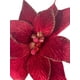 thumbnail image 3 of Poinsettia Roja Terciopelo 30cm, 3 of 3