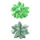 thumbnail image 2 of 2x Suculentas Cactus Throw Pillow Novedad Cojines Suaves Farmhouse Home Decor, 2 of 2