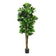 thumbnail image 1 of Planta Artificial Ficus Lirata 180 cm / 254 hojas Verde, 1 of 10