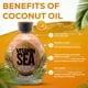 thumbnail image 3 of Loción bronceadora DARK TANS EXCLUSIVE Vitamin Sea 400 ml, 3 of 8