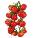 thumbnail image 2 of 5pcs Artificiales Frutas / Verduras Cuerdas Agritainment Granja Decoraciones Para Colgar 14, 2 of 3
