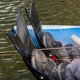thumbnail image 4 of Aletas Outcast EZ Power para pesca, 4 of 5