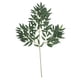 thumbnail image 2 of Ficus verde, rama decorativa de 65 cm, 2 of 2