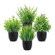 thumbnail image 1 of Pequeñas Plantas Falsas Planta De Interior Bonsai Artificial Para Baño Sala De Estar Escritorio, 1 of 3
