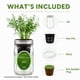 thumbnail image 3 of Kit de cultivo hidropónico de eneldo Environet para interior, 3 of 8