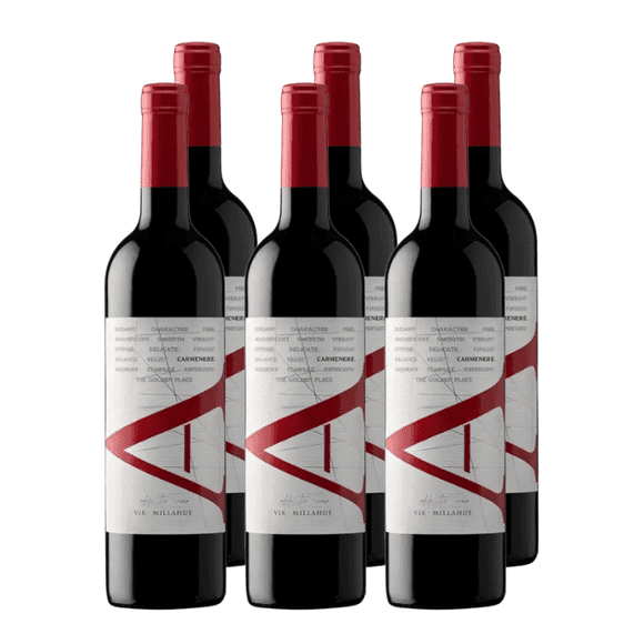 Vino VIK A Carmenere 750cc x6