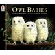 thumbnail image 1 of Reservar Candlewick Press Owl Babies, 1 of 1