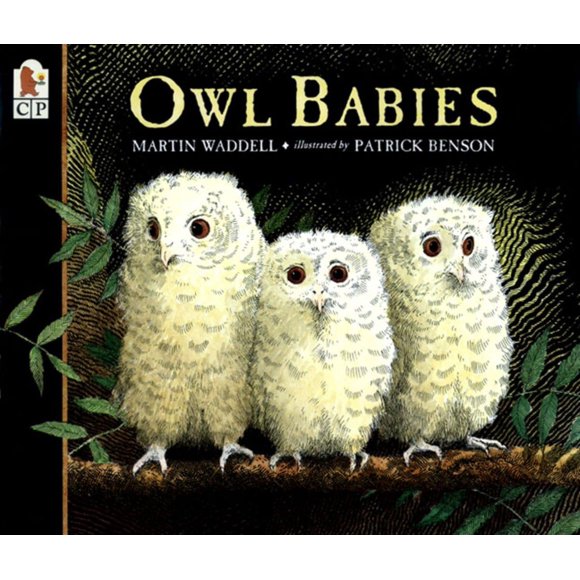 Reservar Candlewick Press Owl Babies