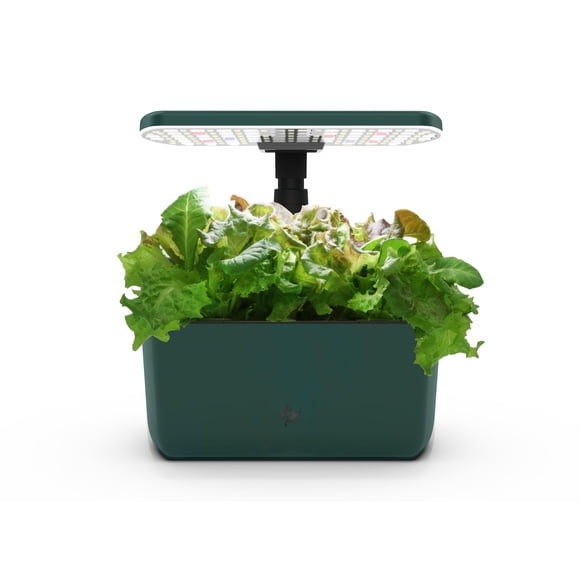 Jardín hidropónico de interior AeroGarden Harvest Lite verde
