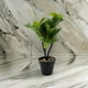 thumbnail image 5 of Planta Artificial Hoja Verde Deco Macetero Plastico Negro, 5 of 6