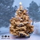thumbnail image 4 of Luces navideñas PHILIPS, 50 LED, blanco cálido, C9, cadena de 8 m, 4 of 6