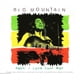 thumbnail image 1 of Big Mountain Baby I Love Your Way Cd Single Usado, 1 of 2
