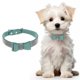 thumbnail image 1 of Collar de Perro Uxcell Lindo con Brillantes de Diamantes, Collar de Perro Ajustable de Cuero con Accesorios de Joya Brillante de Diamante 17", (Azul Claro), para Taza de Té / Gato / Mascota Pequeña, 1 of 7