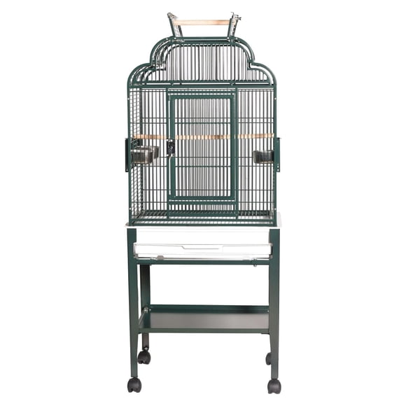 Cage A&E Cage Company HQ Green Open Top 22 x 17 pulgadas para pájaros
