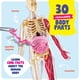 thumbnail image 2 of Kit científico Dan&Darci Modelo corporal blando de anatomía humana, 2 of 9