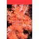 thumbnail image 1 of Libro El Leviatán - Joseph Roth, 1 of 2