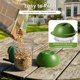 thumbnail image 5 of Alimentador para pájaros LO NA LOVE NATURE 2 unidades resistente al clima, 5 of 9