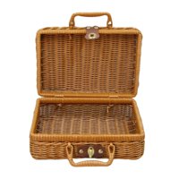 Bothyi - Cesta De Almacenamiento De Ratán De Imitación, Maleta Tejida Para Baño, Viaje, Hogar S