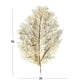 thumbnail image 2 of Set 2 Individuales Leaf Hoja Dorado BVS, 2 of 2