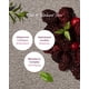 thumbnail image 3 of Sérum Mary&May SEOUL EDITION Idebenone Blackberry Complex 80 ml, 3 of 7