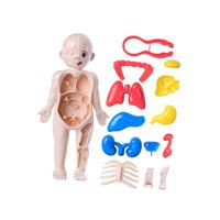 Magideal - Rompecabezas De Cuerpo Humano, Juego De Enseñanza, Partes Del Cuerpo, Modelo De Órganos Para Herramienta De Enseñanza, Niños, Niñas, Niños, Regalo De