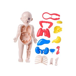 Magideal - Rompecabezas De Cuerpo Humano, Juego De Enseñanza, Partes Del Cuerpo, Modelo De Órganos Para Herramienta De Enseñanza, Niños, Niñas, Niños, Regalo De