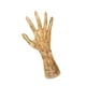 thumbnail image 1 of Organizador De Accesorios Mano Derecha Halloween, 1 of 3