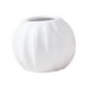 thumbnail image 1 of Florero Decoración Del Hogar Suculentas Maceta Florero De Mesa Para Estante Escritorio Cocina Blanco, 1 of 3