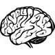 thumbnail image 1 of Decomural Human Brain Science WS-32978, 1 of 2