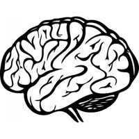 Rienda Libre Graphics - Decomural Human Brain Science Ws-32978