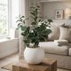 thumbnail image 3 of Planta Artificial Ficus Decorativa Maceta Decoracion Hogar crema, 3 of 9