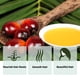 thumbnail image 2 of Aceite para el crecimiento del cabello Batana 100% Honduran Miracle Oil 30 ml, 2 of 3