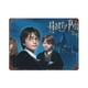 thumbnail image 1 of Cartel Metálico Harry Potter Desmarcar 20x30 cm, 1 of 6