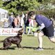 thumbnail image 5 of Disco volador para perros Hyperflite Jawz K-10 resistente a perforaciones, 5 of 9