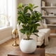 thumbnail image 2 of Planta Artificial Ficus Decorativa Maceta Decoracion Hogar blanco, 2 of 9