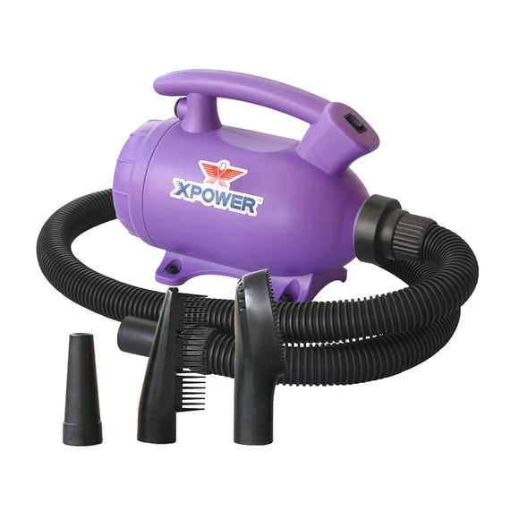 SECADOR MASCOTAS HOME MORADO